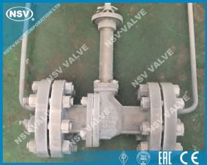 Kriogeni plavajoči krogelni ventil